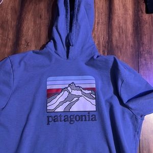 Mens Patagonia Hoodie Size XL color blue
